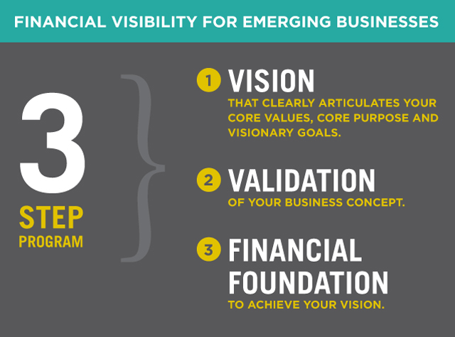 Financial Visibility for Emerging Businesses