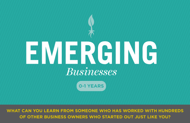Emerging Businesses: 0-1 Years