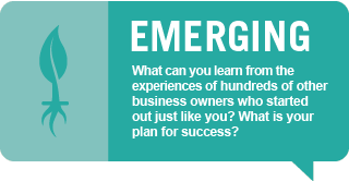 Emerging: What can you learn from the experiences of hundreds of other business owners who started out just like you? What is your plan for success?