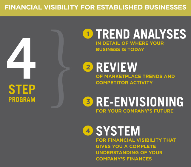 Financial Visibility for Established Businesses